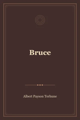 Bruce cover