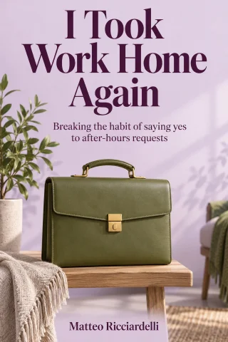 I Took Work Home Again cover
