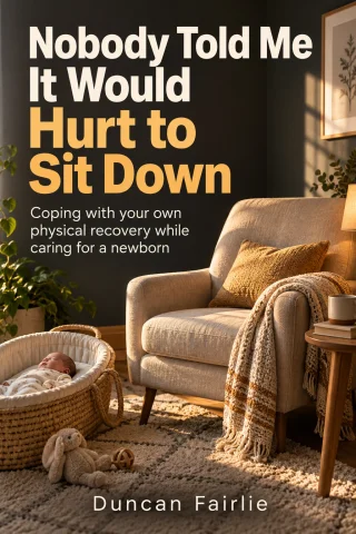 Nobody Told Me It Would Hurt to Sit Down cover