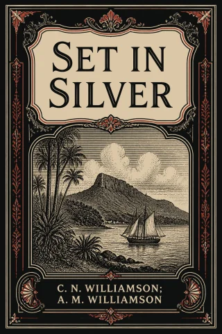Set in Silver cover