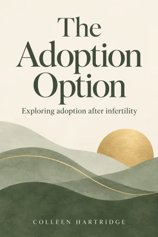 The Adoption Option cover
