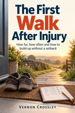 The First Walk After Injury cover