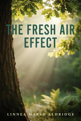 The Fresh Air Effect cover