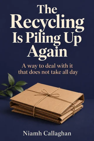 The Recycling Is Piling Up Again cover