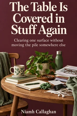The Table Is Covered in Stuff Again cover