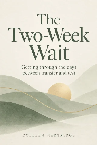 The Two-Week Wait cover