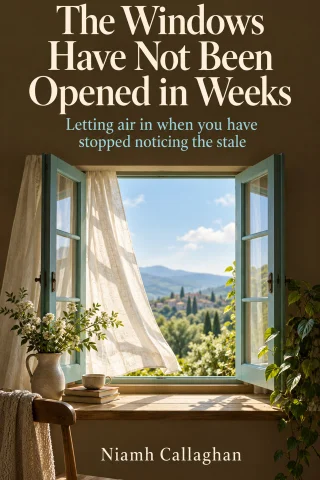 The Windows Have Not Been Opened in Weeks cover